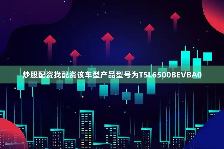 炒股配资找配资该车型产品型号为TSL6500BEVBA0