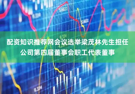 配资知识推荐网会议选举梁茂林先生担任公司第四届董事会职工代表董事