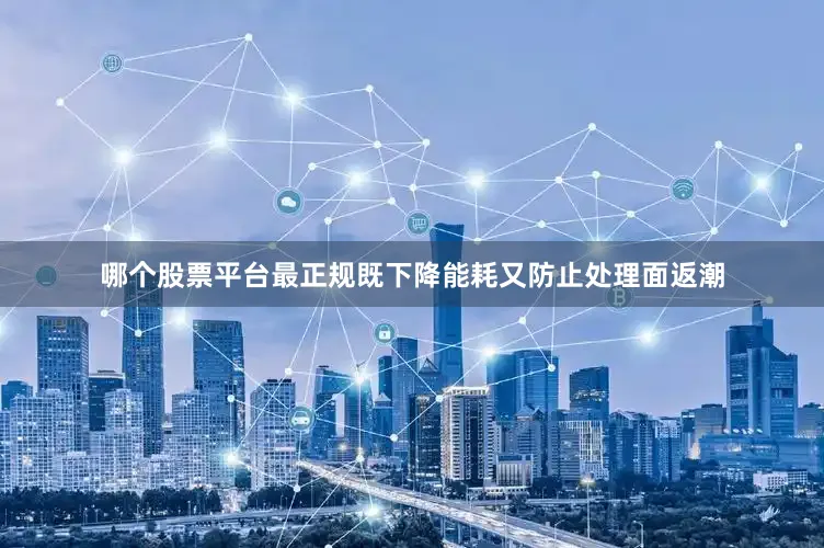 哪个股票平台最正规既下降能耗又防止处理面返潮